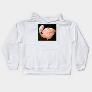 cli pink flamingo Kids Hoodie